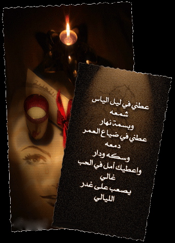  ii�����  (tk)�������  ������� ������