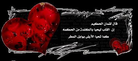 �صمتك يوقظ الليل، دعه ينام�