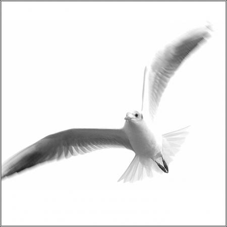 ���� ���� ����� ��� ����