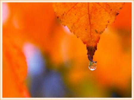 �� ����� ����. ��� ������� �����