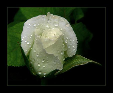 ���� ���� ����� ��� ����