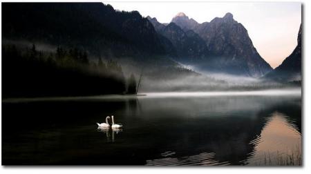 �� ���� �����.. ��� �� ��� �����