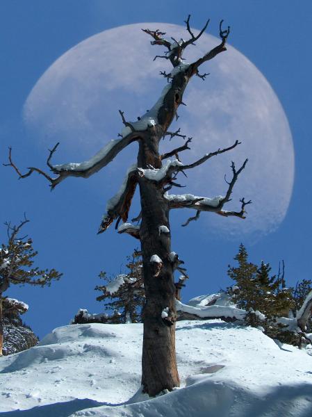 احقق احلامي .. ولكن بالاحلام